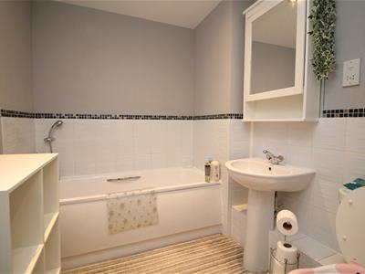 Picture 8